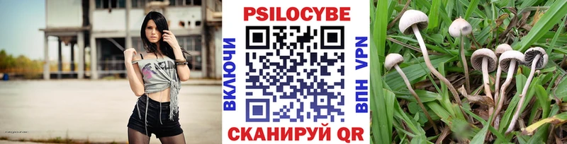 Галлюциногенные грибы Cubensis  купить наркотик  Болхов 